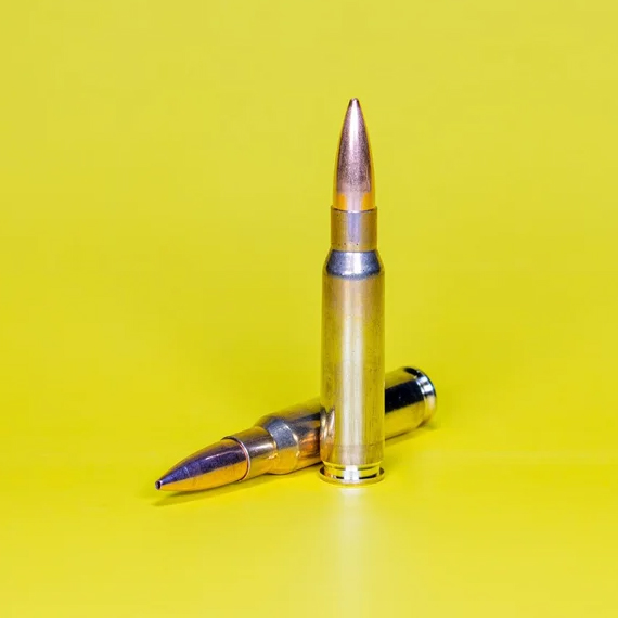 Zwei Patronen stehen und liegen aufrecht auf gelbem Hintergrund.
